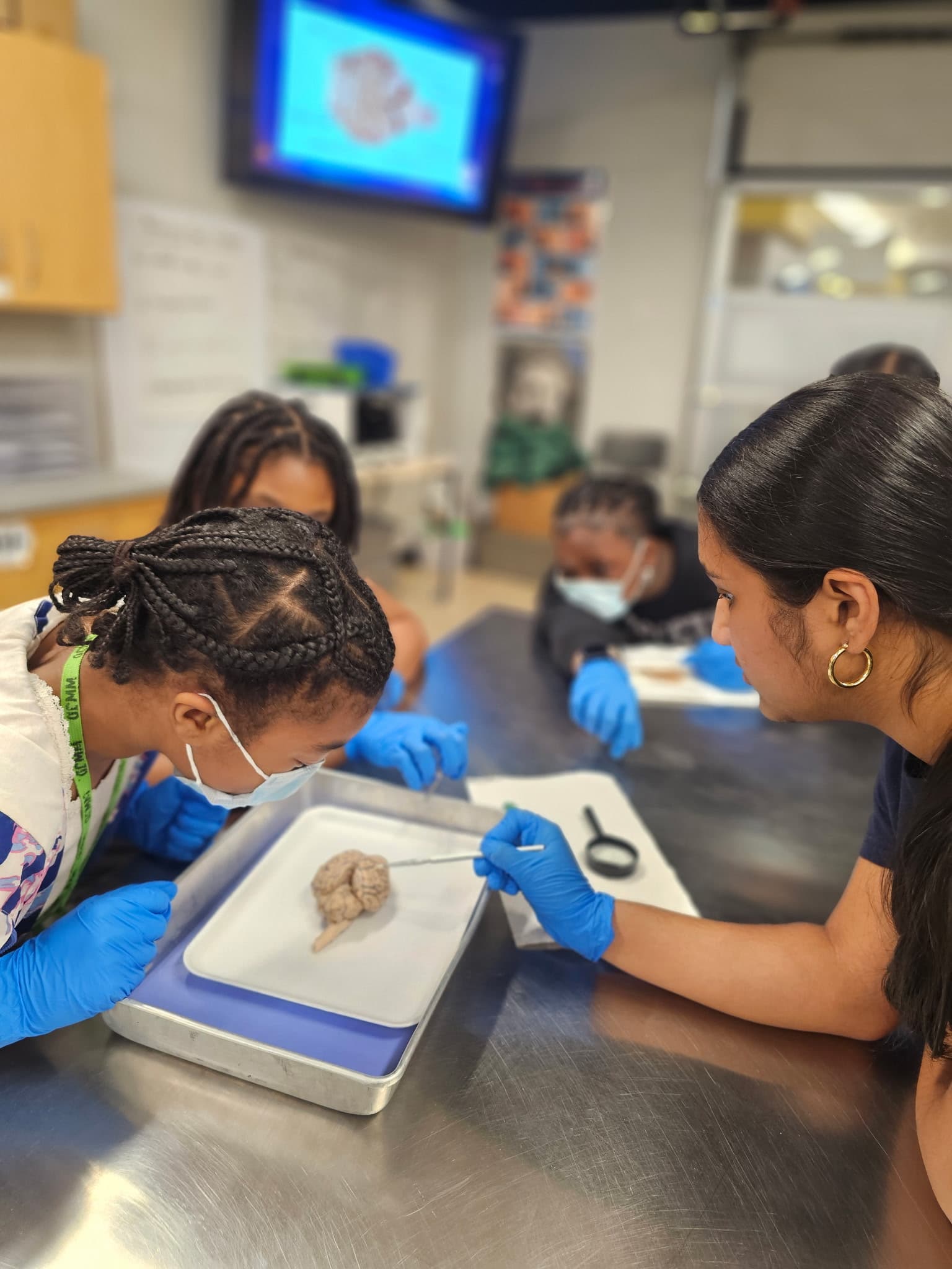 Students leaning in to examine brain specimen with probes